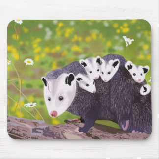 Tapis De Souris Famille Possum
