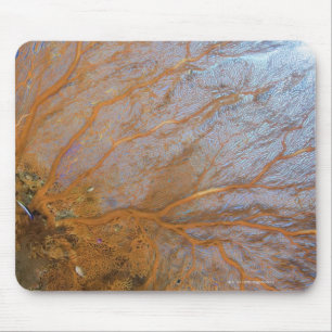 Tapis De Souris Fan de mer gorgonian géante (espèces de