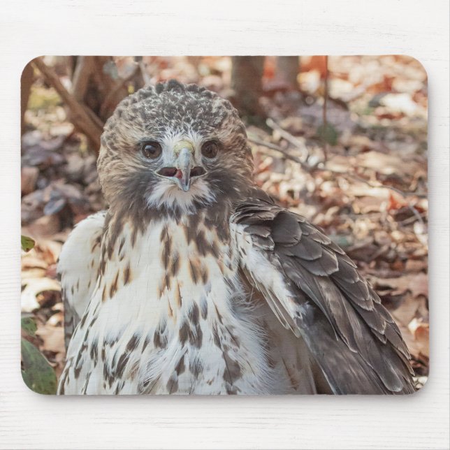 Tapis De Souris Faucon coupé la queue par rouge (Devant)