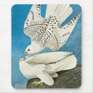 Tapis De Souris Faucons gerfauts, alias Gerfalcons par John James 