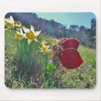 fée à aile rouge et jonquilles