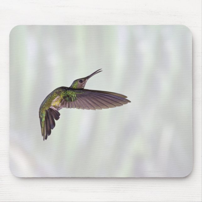 Tapis De Souris Femme Heliodoxa jacula à couronne verte (Devant)