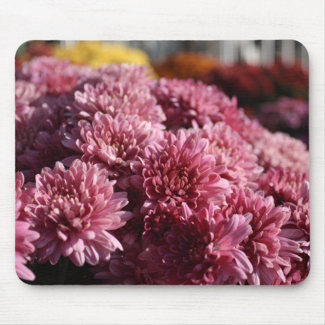 Tapis De Souris FEMMES roses photo magnifique (Devant)