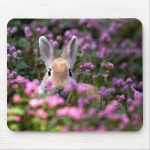 Tapis De Souris Ferme de lapins
