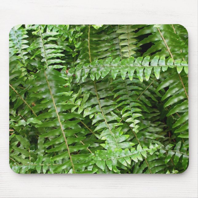 Tapis De Souris Fermer Fronds I Green Nature (Devant)