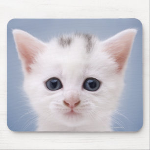 Tapis De Souris Fermez-vous vers le haut de l'image