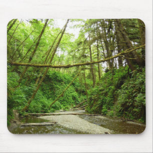 Tapis De Souris Fern Canyon I au Redwood National Park