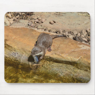 Tapis De Souris **"Fête de Pondside : Un Otter et son Catch"**