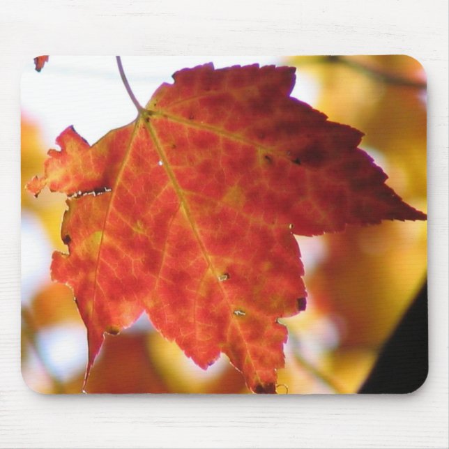 Tapis De Souris Feuil de chute (Devant)