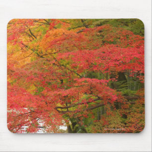 Tapis De Souris Feuillage d'automne japonais