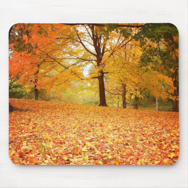 Tapis De Souris Feuille d'automne, Central Park, New York City (Devant)