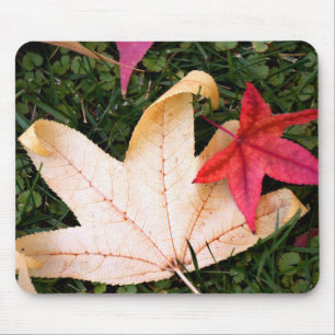 Tapis De Souris Feuille d'érable aux couleurs vives