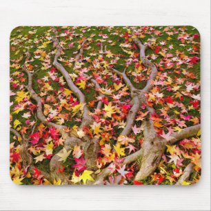 Tapis De Souris Feuille d'érable aux couleurs vives
