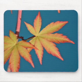Tapis De Souris Feuille d'érable japonais Sango Kaku Mousepad