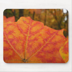 Tapis De Souris Feuille d'érable orange et rouge Abstraite nature 