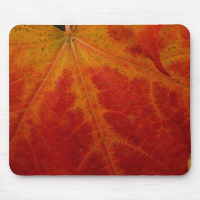 Tapis De Souris Feuille d'érable rouge Abstraite Automne Photograp (Devant)