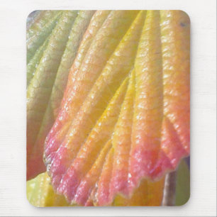 Tapis De Souris Feuille Mousepad de noisette de sorcière