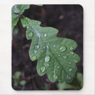 Tapis De Souris Feuille verte de chêne sous la pluie