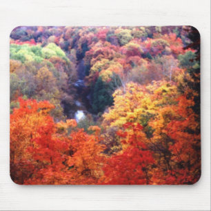 Tapis De Souris Feuilles d'automne changeant de couleur