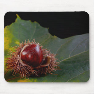 Tapis De Souris Feuilles d'automne et souris de noix