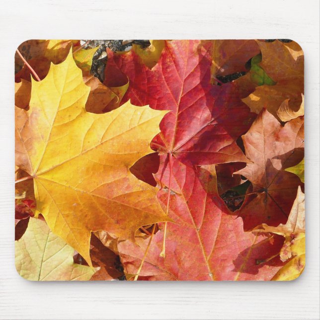 Tapis De Souris Feuilles d'automne - Etonnant! (Devant)