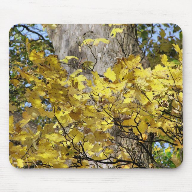 TAPIS DE SOURIS FEUILLES D'AUTOMNE JAUNE (Devant)