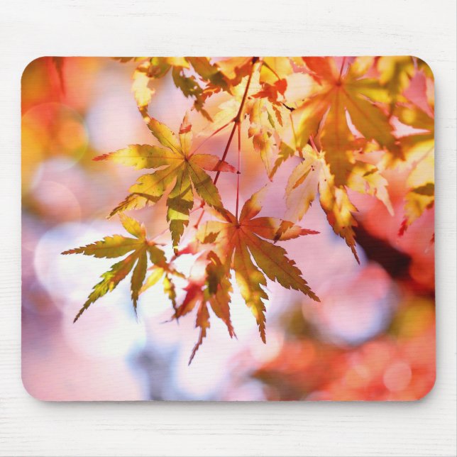 Tapis De Souris Feuilles d'automne Panier de souris (Devant)