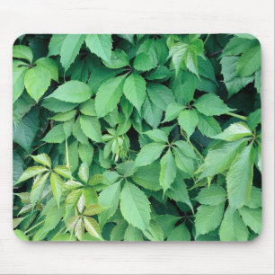 Tapis De Souris Feuilles de raisins verts