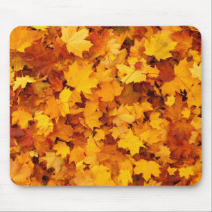 Tapis De Souris Feuilles d'été indiens