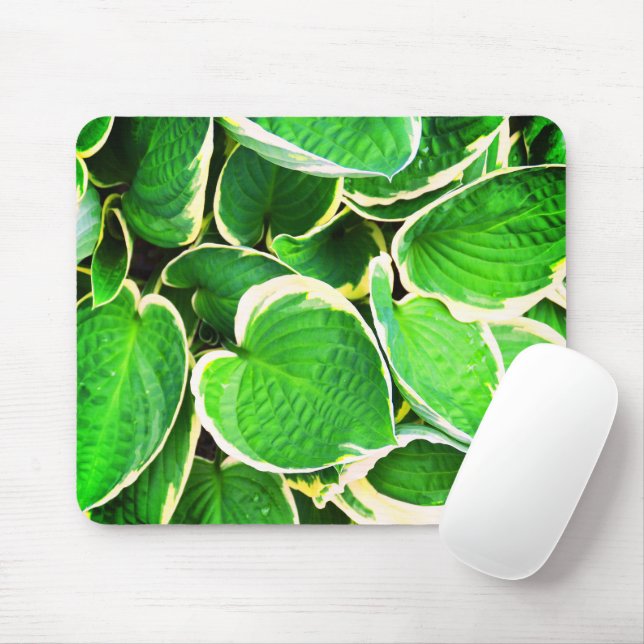 Tapis De Souris Feuilles Hosta (Avec souris)