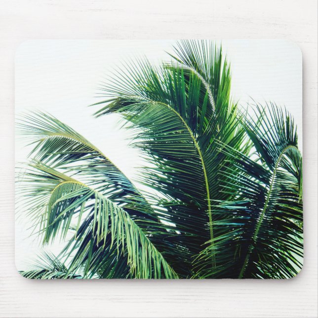 Tapis De Souris Feuilles Palm Tree (Devant)