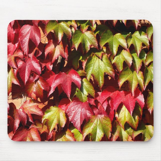 Tapis De Souris Feuilles rouges et verts (Devant)
