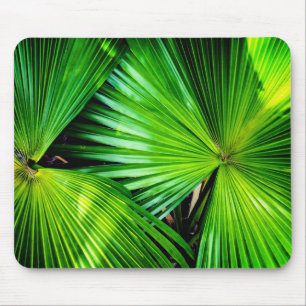 Tapis De Souris Feuilles tropicaux