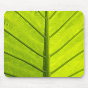 Tapis De Souris Feuilles vertes veinées de feuillage tropical dans