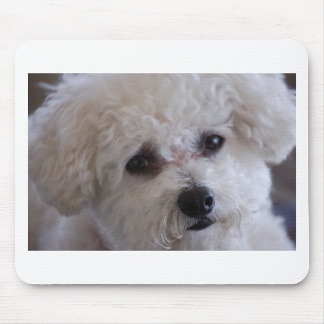 Tapis De Souris Fin de Bichon (Devant)