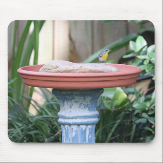 Tapis De Souris Finch à poitrine jaune au bain d'oiseau