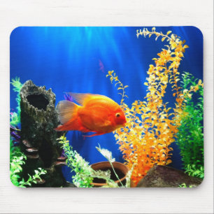 Tapis De Souris Fish tank aquarium