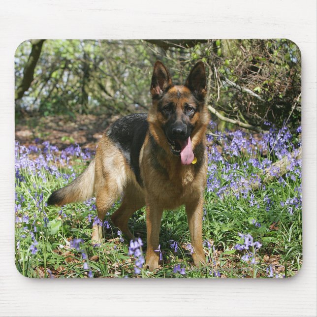 Tapis De Souris Fixation de berger allemand (Devant)