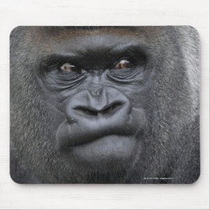 Tapis De Souris Flachlandgorilla, gorille