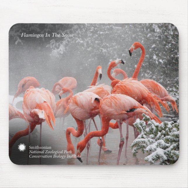 Tapis De Souris Flamants roses de Smithsonien | dans la neige (Devant)