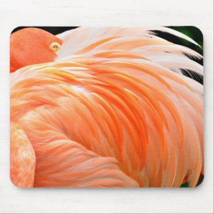 Tapis de souris Flamingo 1