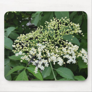 Tapis De Souris fleur