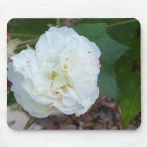Tapis De Souris fleur blanche d'hibiscus mutabilis
