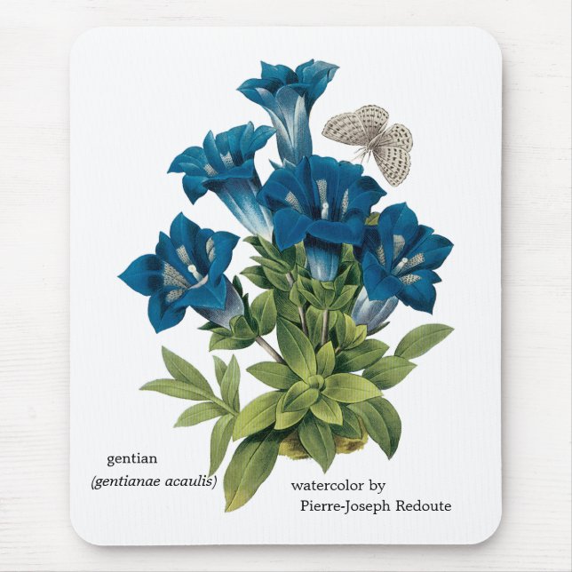 Tapis De Souris Fleur bleue Mousepad de Redoute (Devant)