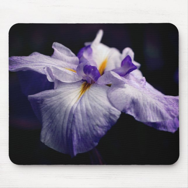 Tapis De Souris Fleur de beauté japonaise Iris (Devant)