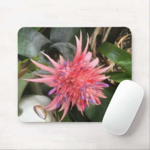 Tapis De Souris Fleur de bromélie