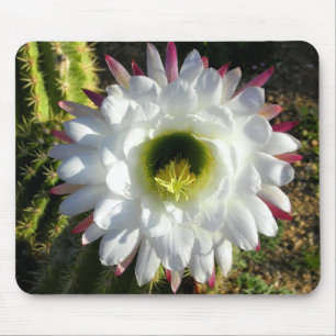Tapis De Souris Fleur de cactus