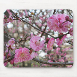 Tapis De Souris Fleur de cerisier rose / Sakura / ク(桜)