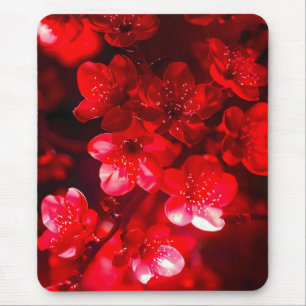Tapis De Souris Fleur de cerisier Twilight