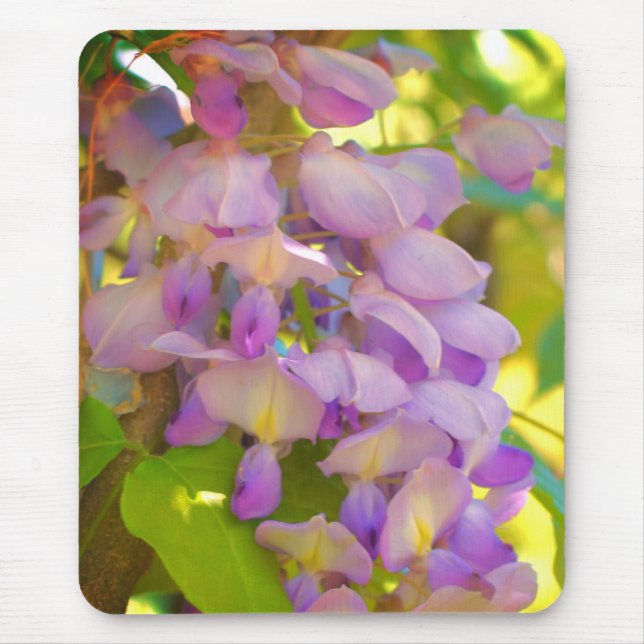 Tapis De Souris Fleur de glycine rêvée (Devant)